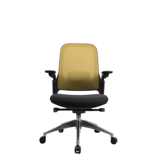 SENNA Mid Grey Black Olive Chair